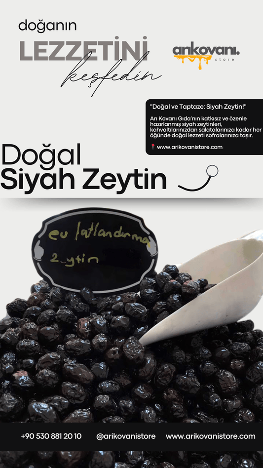 Doğal Siyah Zeytin - arikovanistore