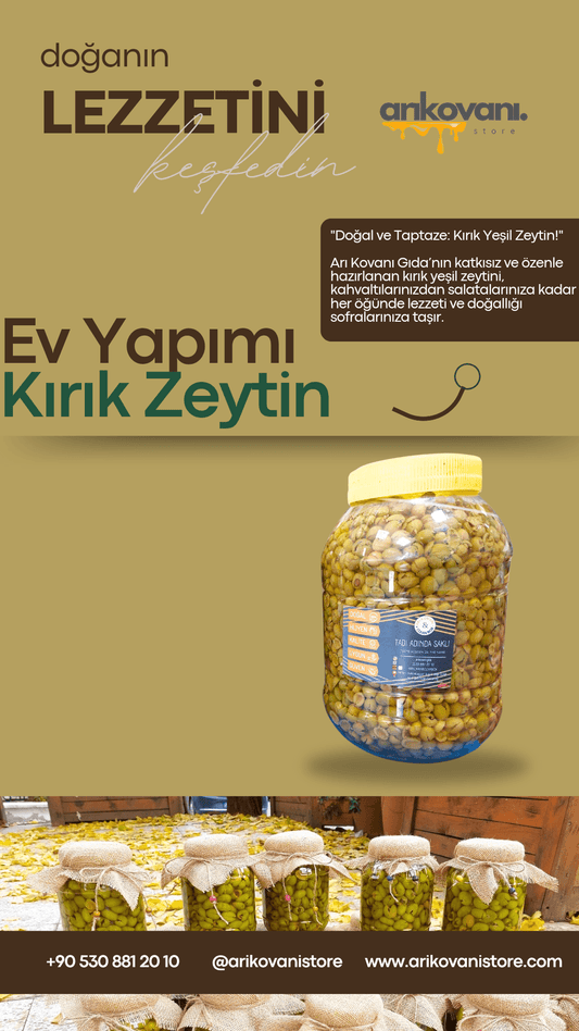 Ev Yapımı Kırık Zeytin - arikovanistore